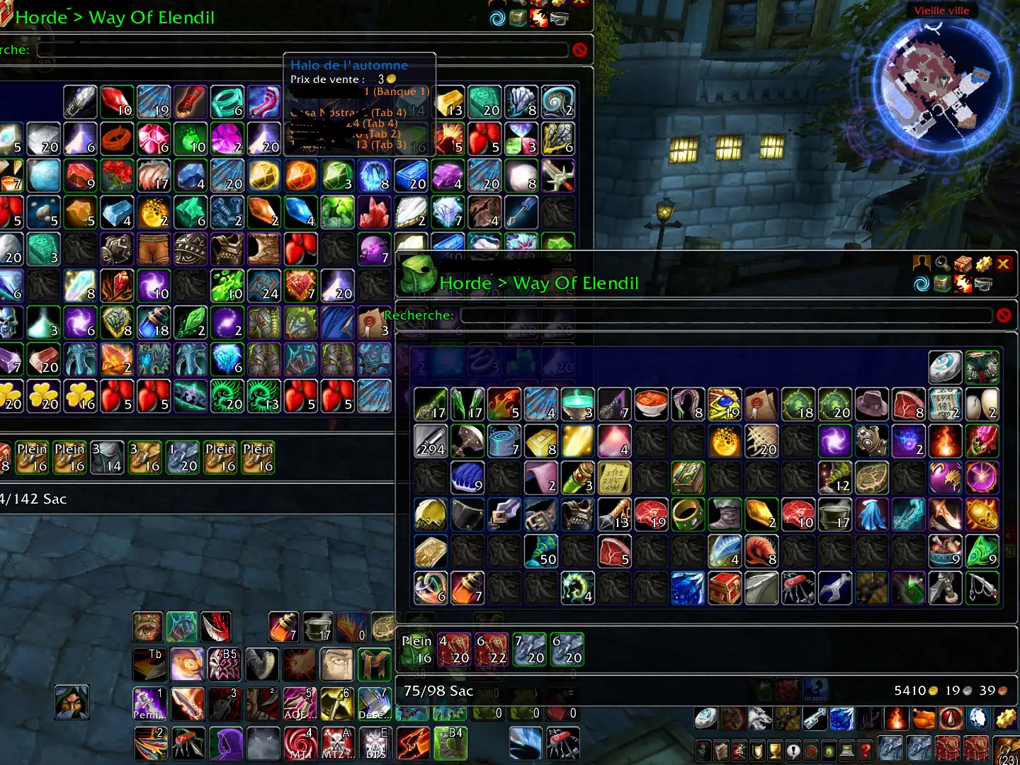 Vente compte WoW WotLK – Way of Elendil (HL PvE) thumbnail 3