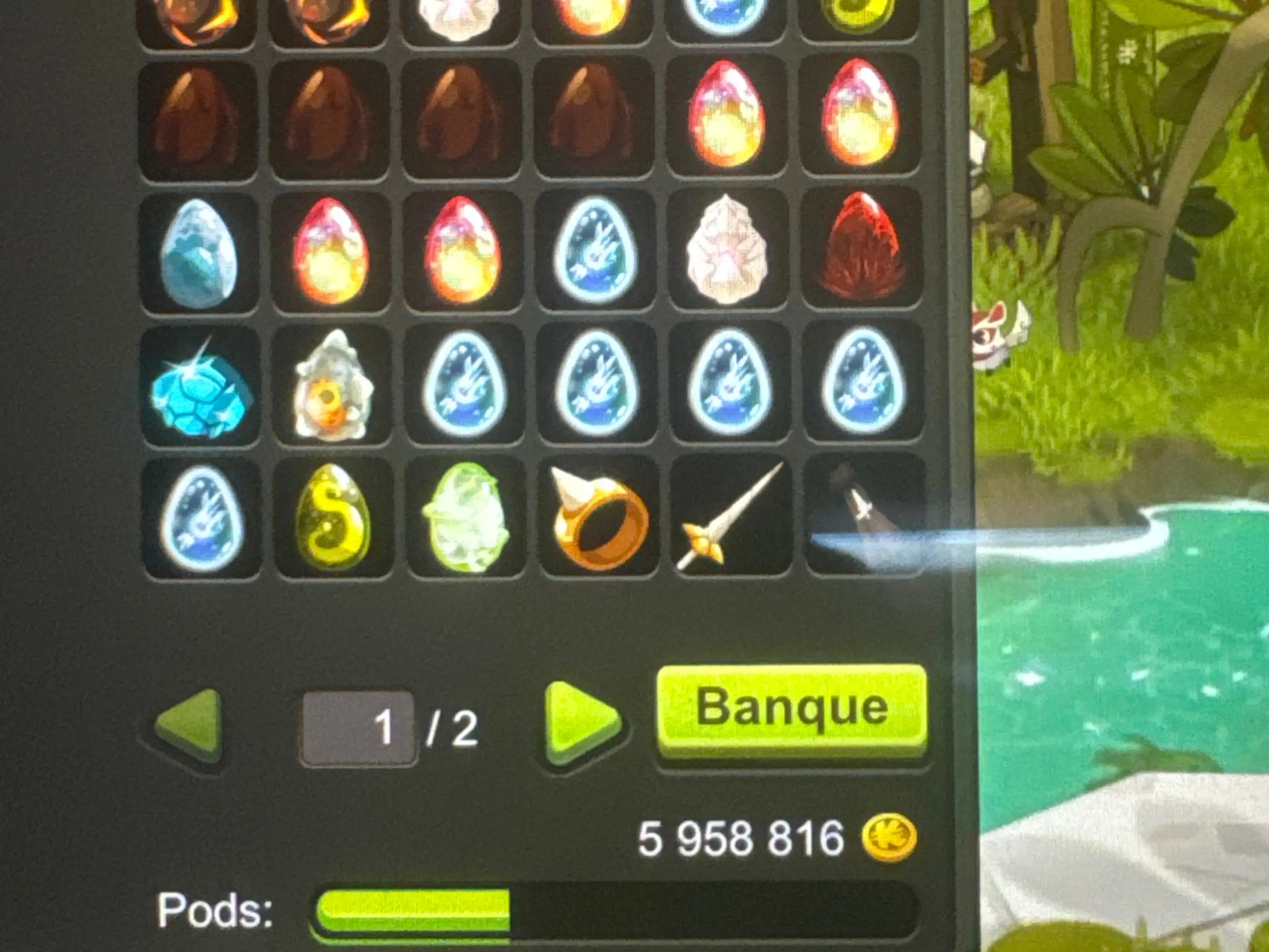 6M TEMPORIX 3 DOFUS TOUCH